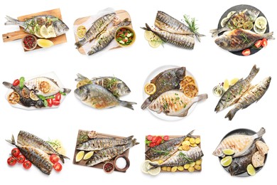 Image of Fried fish. Dishes isolated on white, set. Top view