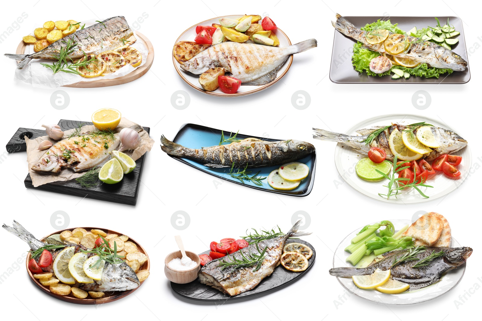 Fried fish. Dishes isolated on white, set Image of Fried fish. Dishes isolated on white, set
