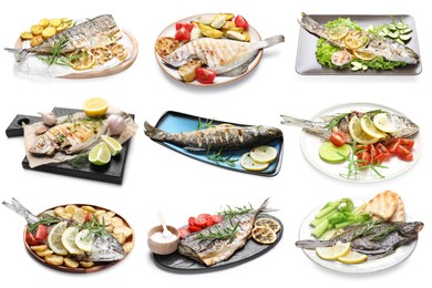 Image of Fried fish. Dishes isolated on white, set