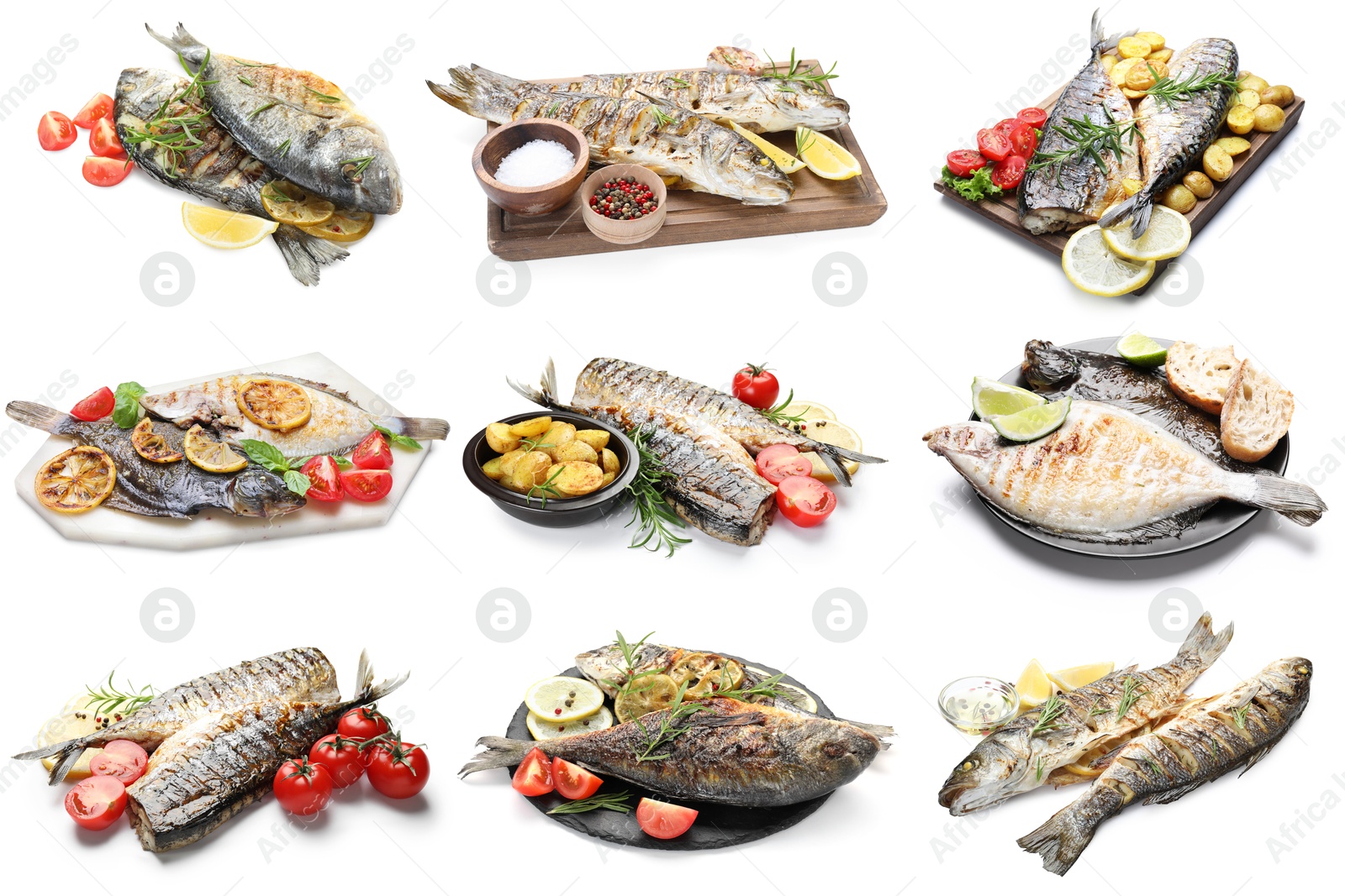 Fried fish. Dishes isolated on white, set Image of Fried fish. Dishes isolated on white, set