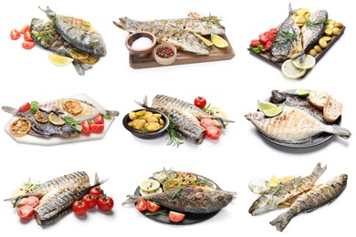 Image of Fried fish. Dishes isolated on white, set