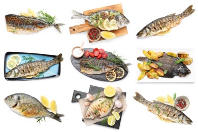 Image of Fried fish. Dishes isolated on white, set. Top view