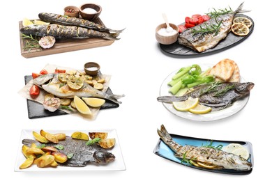 Image of Fried fish. Dishes isolated on white, set
