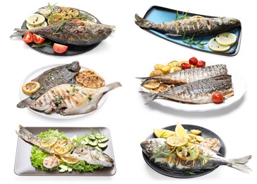 Image of Fried fish. Dishes isolated on white, set