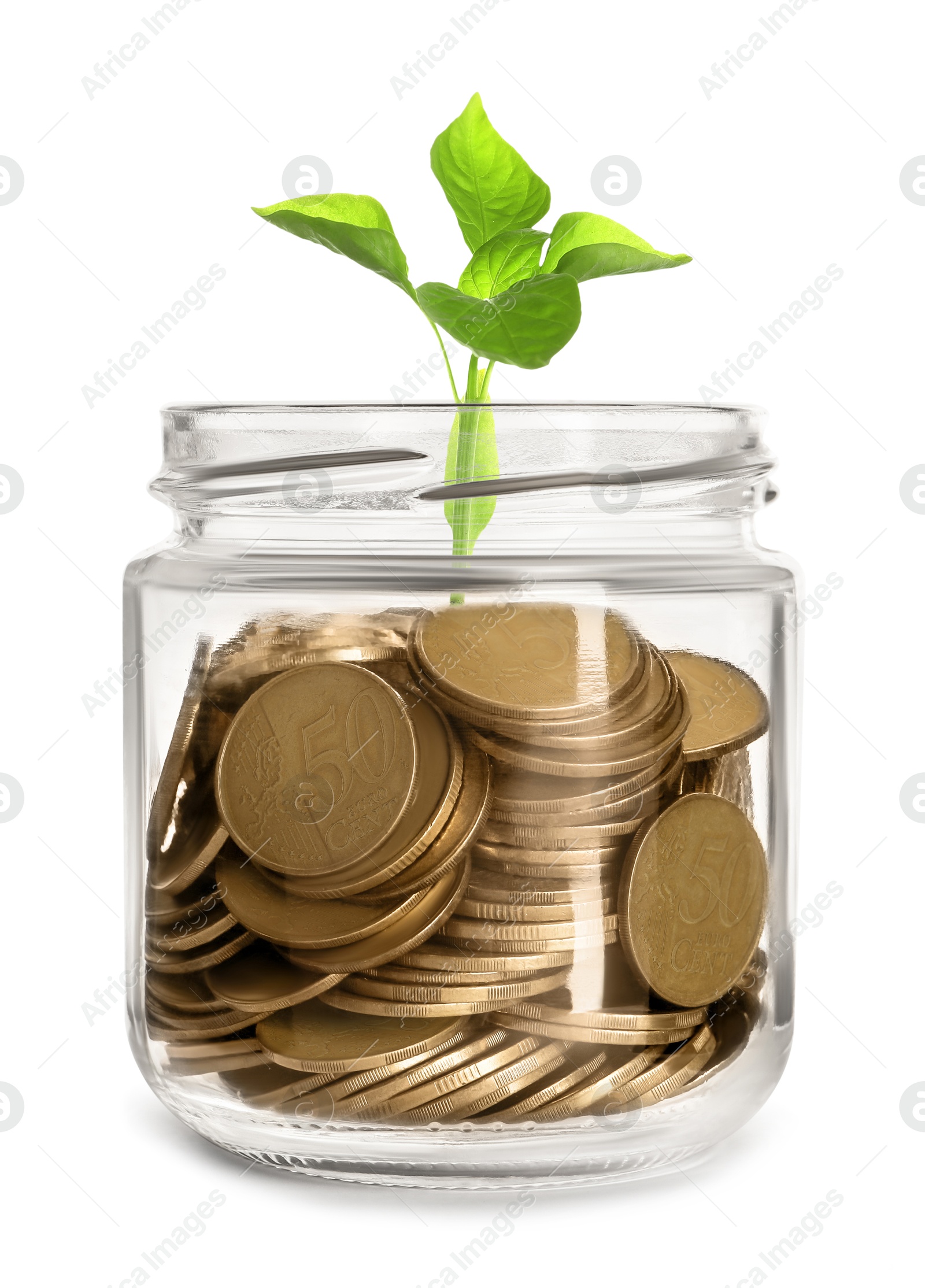 Jar with coins and green sprout against white background. Savings concept Image of Jar with coins and green sprout against white background. Savings concept