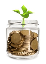 Image of Jar with coins and green sprout against white background. Savings concept