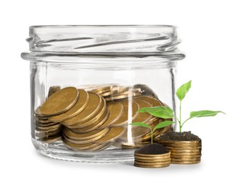 Image of Savings concept. Coins and green sprouts against white background
