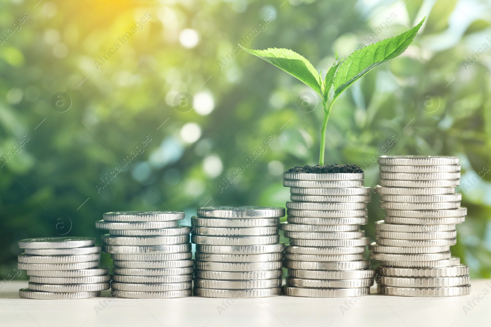 Savings concept. Stacked coins and green sprout on table against blurred background Image of Savings concept. Stacked coins and green sprout on table against blurred background