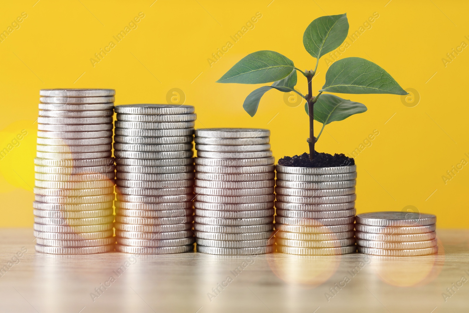 Savings concept. Stacked coins and green sprout on table against orange background Image of Savings concept. Stacked coins and green sprout on table against orange background