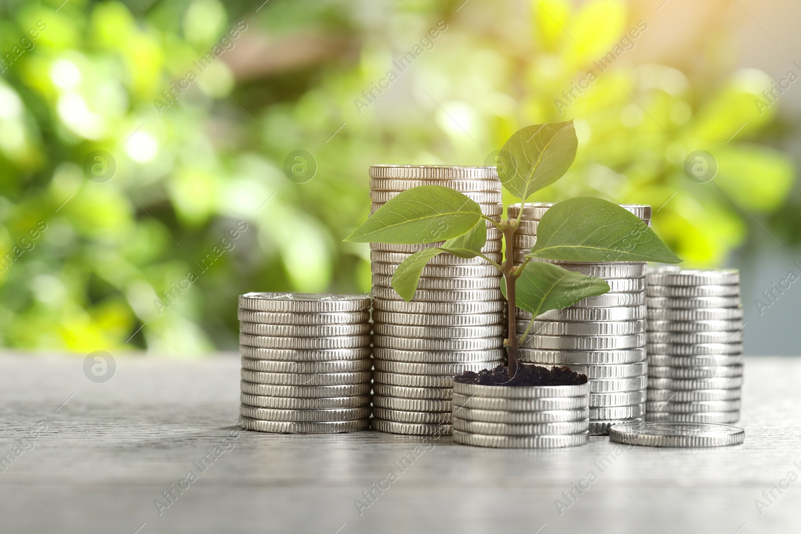 Savings concept. Stacked coins and green sprout on table against blurred background Image of Savings concept. Stacked coins and green sprout on table against blurred background