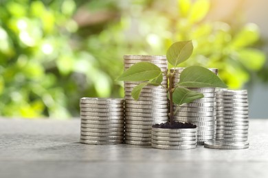 Image of Savings concept. Stacked coins and green sprout on table against blurred background