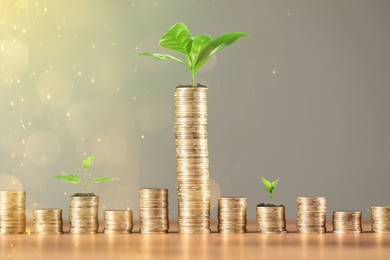 Image of Savings concept. Stacked coins and green sprouts against grey background