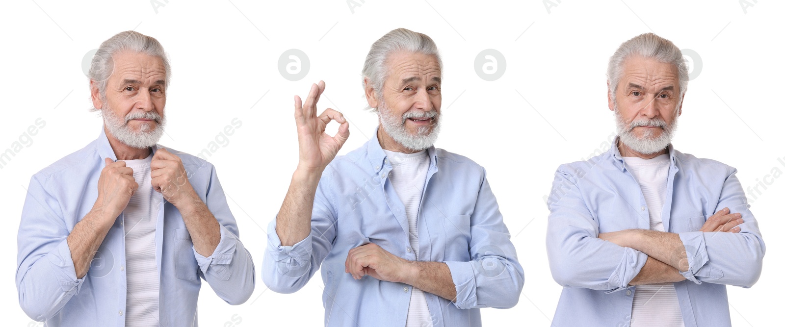 Image of Grandpa posing on white background. Collage with portraits of senior man