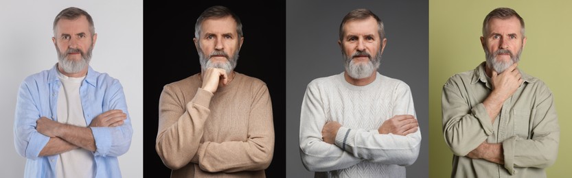 Image of Grandpa posing on different colors backgrounds. Collage with portraits of senior man
