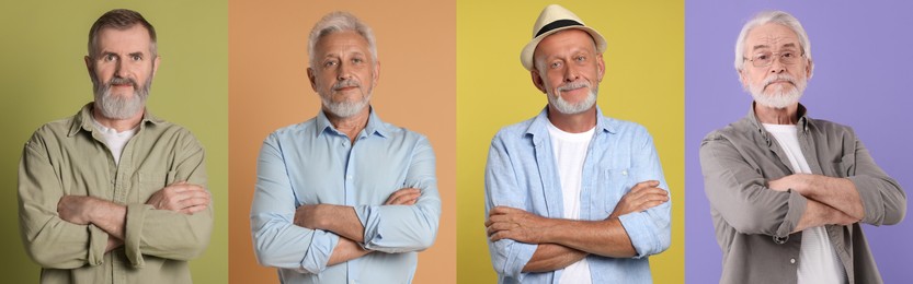 Image of Senior men posing on different colors backgrounds. Collage with portraits of grandpas
