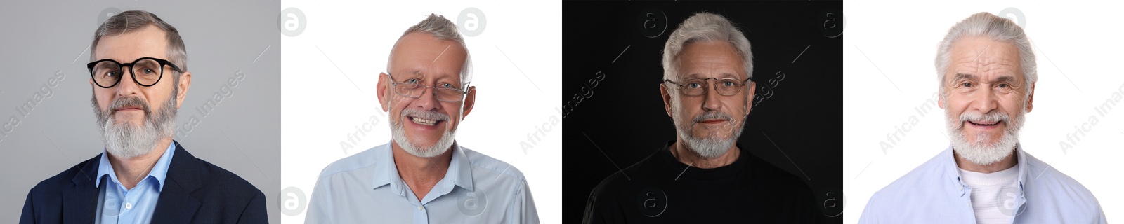 Senior men posing on different colors backgrounds. Collage with portraits of grandpas Image of Senior men posing on different colors backgrounds. Collage with portraits of grandpas