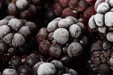 Photo of Many frozen blackberries as background, macro view