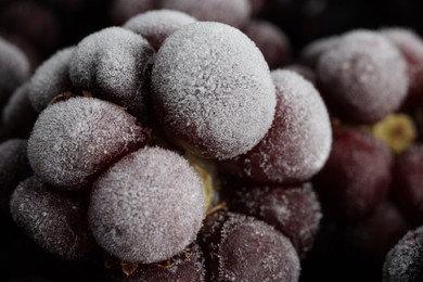 Photo of Many frozen blackberries as background, macro view