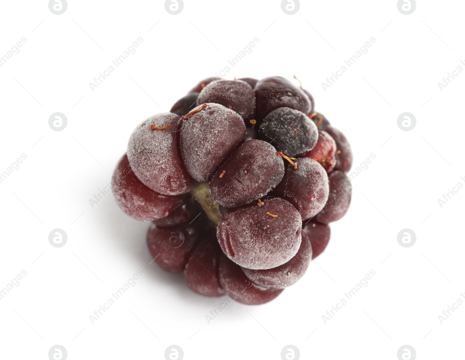 Photo of One frozen blackberry isolated on white, macro view