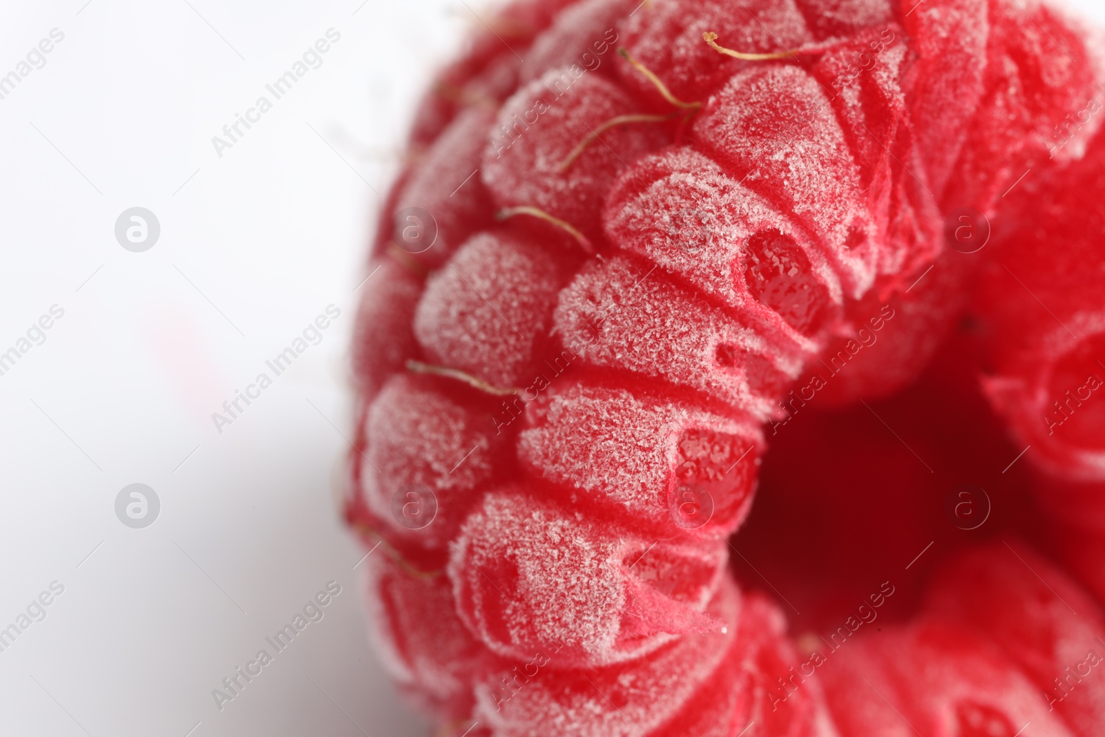 Photo of One frozen raspberry on white background, macro view