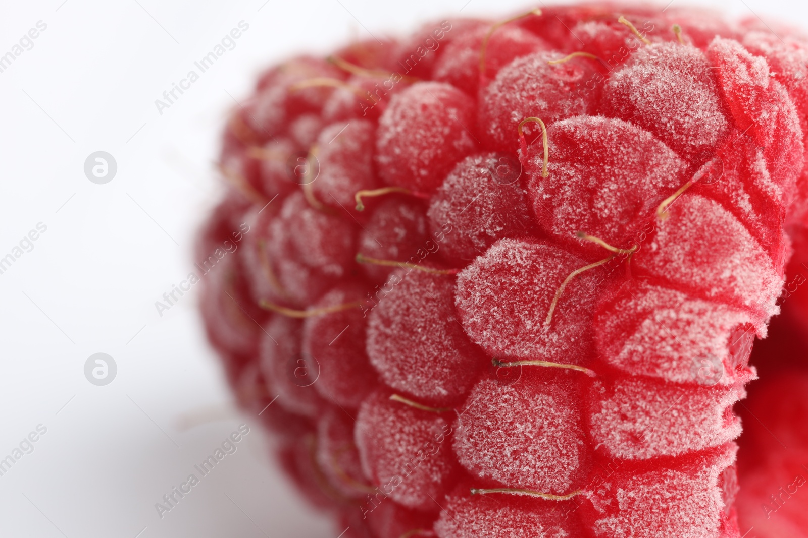 Photo of One frozen raspberry on white background, macro view