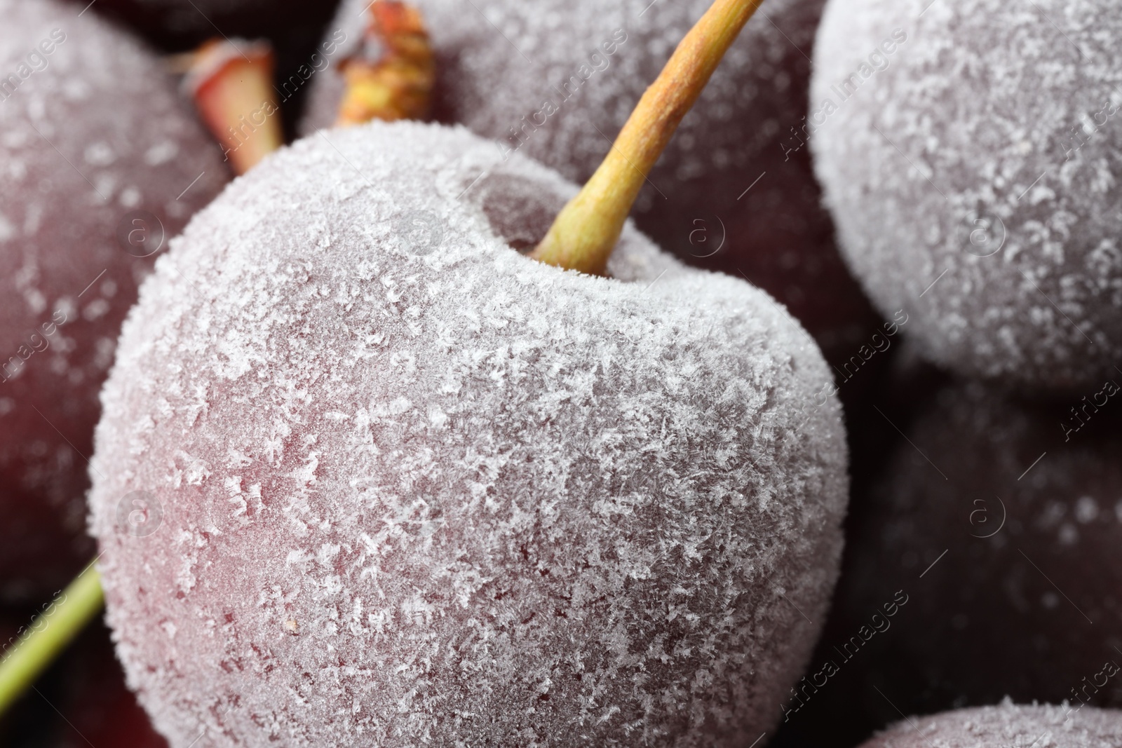 Photo of Ripe frozen cherries as background, macro view