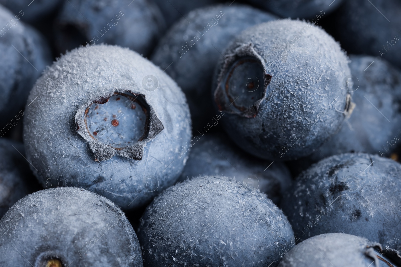 Photo of Many frozen blueberries as background, macro view
