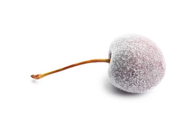 Photo of One ripe frozen cherry isolated on white