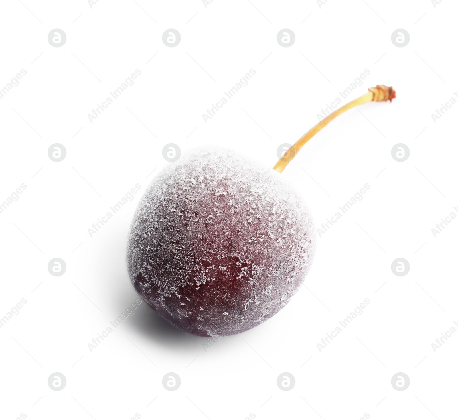 Photo of One ripe frozen cherry isolated on white
