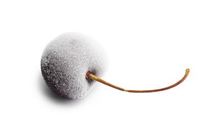 Photo of One ripe frozen cherry isolated on white