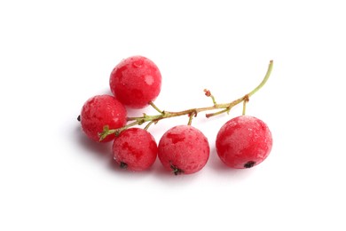 Photo of Red frozen currant berries isolated on white