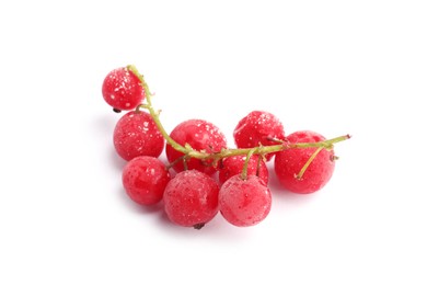 Photo of Red frozen currant berries isolated on white