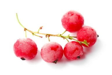 Photo of Red frozen currant berries isolated on white