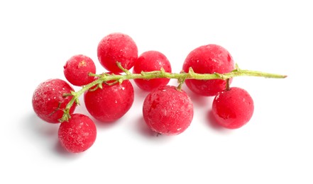 Photo of Red frozen currant berries isolated on white