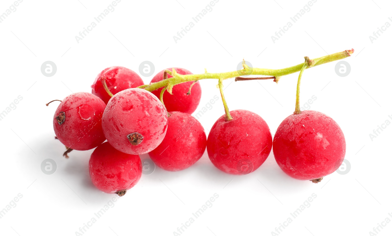 Photo of Red frozen currant berries isolated on white