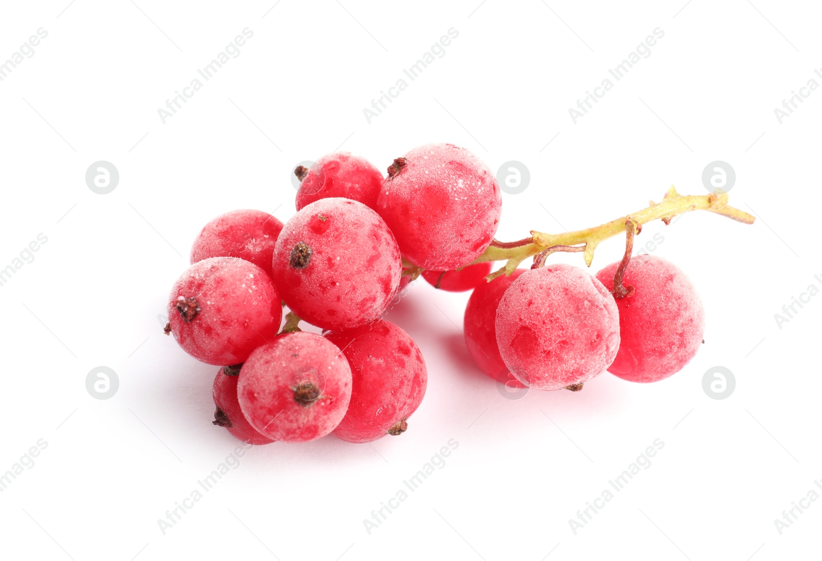 Photo of Red frozen currant berries isolated on white