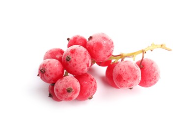 Photo of Red frozen currant berries isolated on white