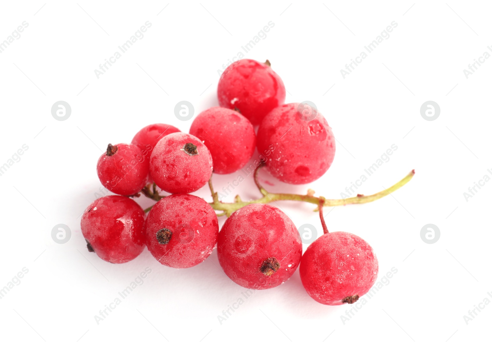 Photo of Red frozen currant berries isolated on white