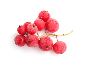 Photo of Red frozen currant berries isolated on white