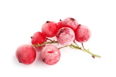 Photo of Red frozen currant berries isolated on white