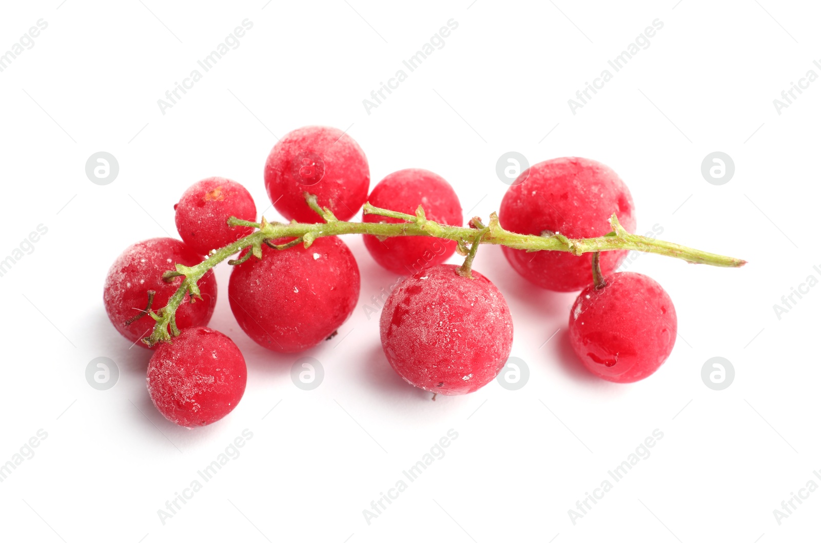 Photo of Red frozen currant berries isolated on white