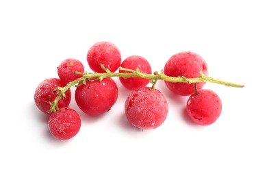 Photo of Red frozen currant berries isolated on white
