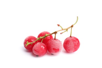 Photo of Red frozen currant berries isolated on white