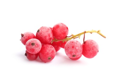 Photo of Red frozen currant berries isolated on white