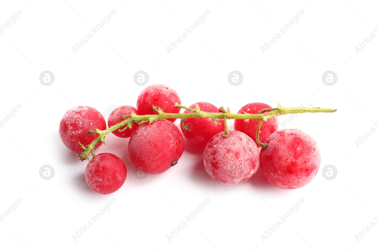 Photo of Red frozen currant berries isolated on white