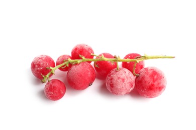 Photo of Red frozen currant berries isolated on white