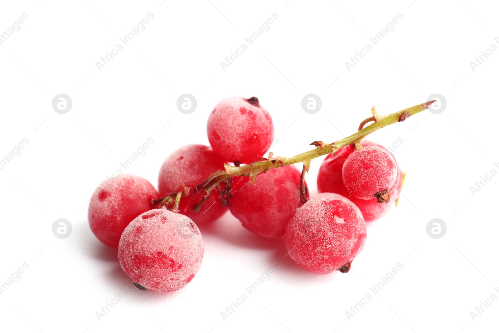 Photo of Red frozen currant berries isolated on white