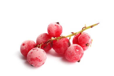 Photo of Red frozen currant berries isolated on white