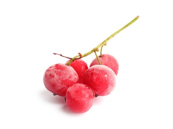 Photo of Red frozen currant berries isolated on white