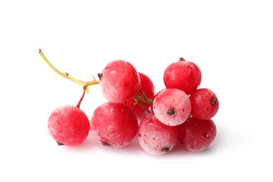 Photo of Red frozen currant berries isolated on white
